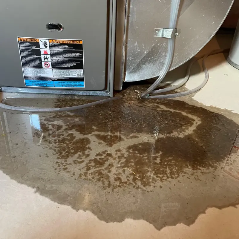 Appliance Leak Cleanup in Jackson, AL